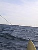 S_img_2126.jpg