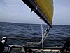 S_img_2150.jpg