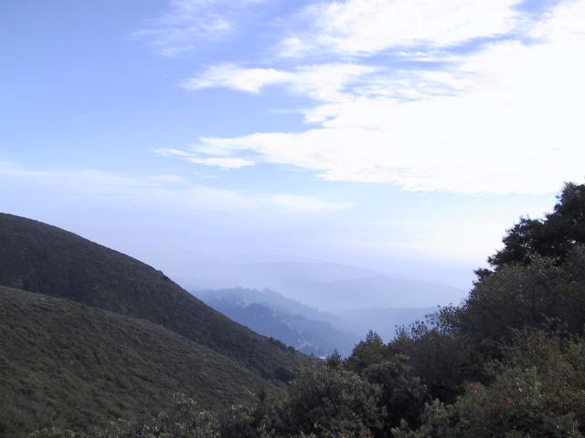 S_stb_3556.jpg
