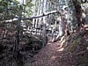 S_img_3547.jpg