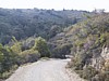 S_img_3554.jpg