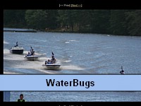 WaterBugs